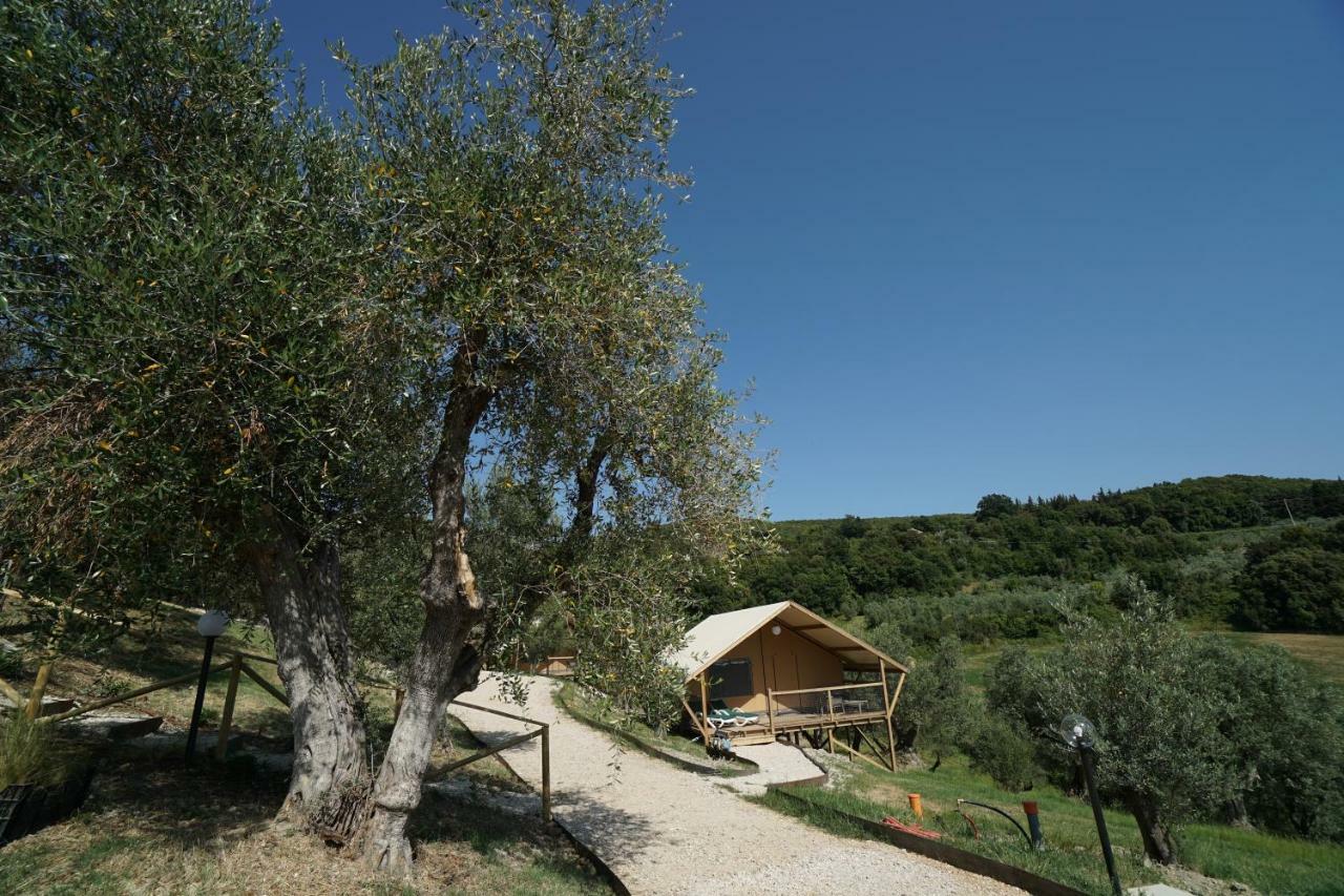 Podere Cortesi Agriturismo Molinaccio Santa Luce Luaran gambar